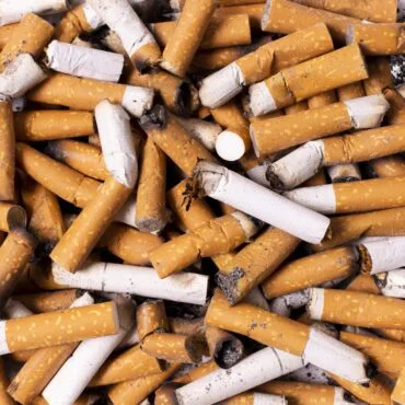 broken cigarettes arrangement