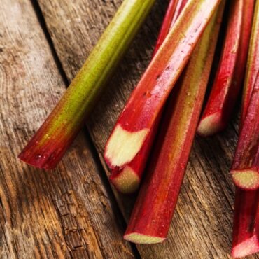 rhubarb