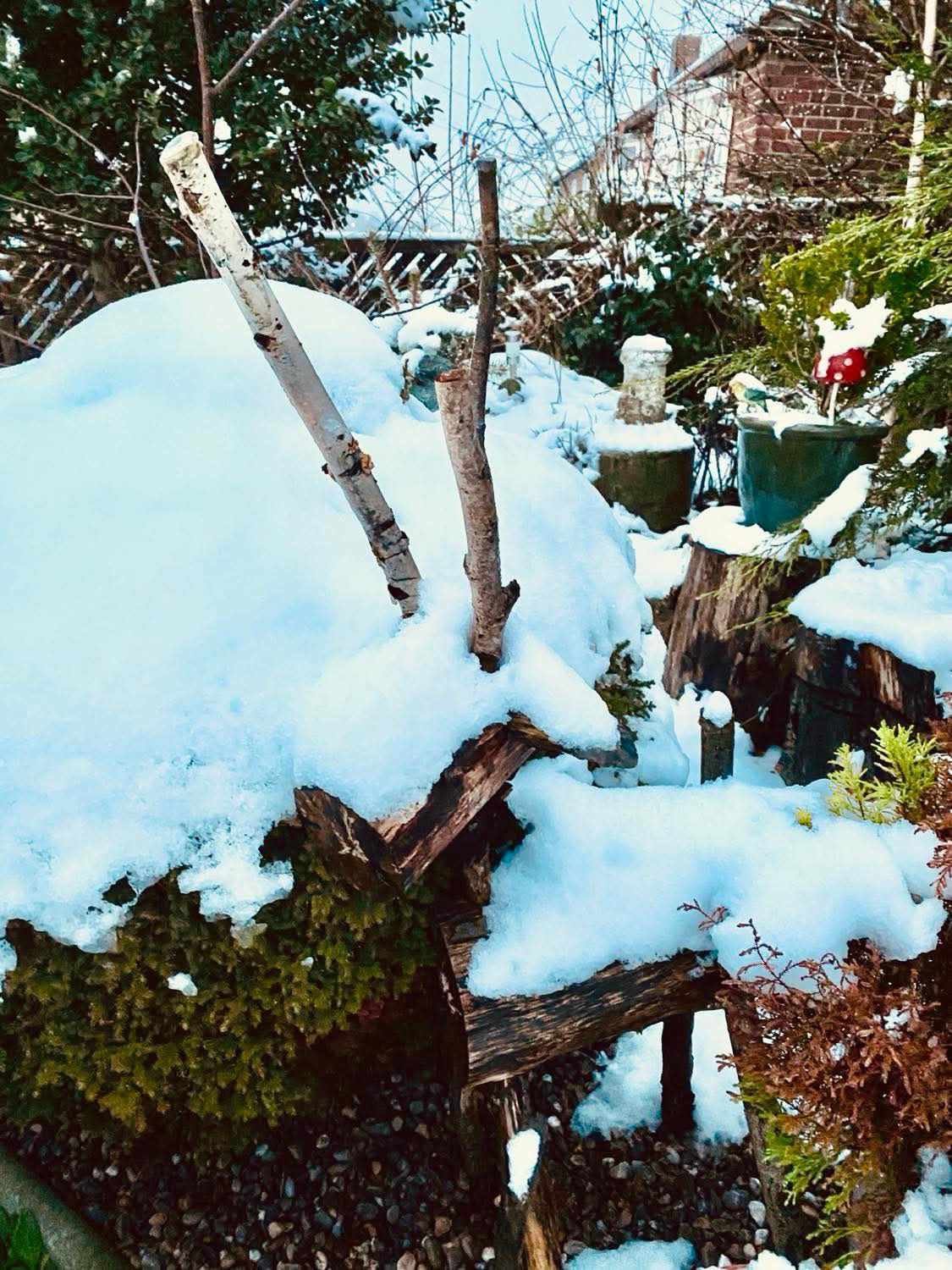 Permakultura w ogrodzie, miesiąc po miesiącu. STYCZEŃ