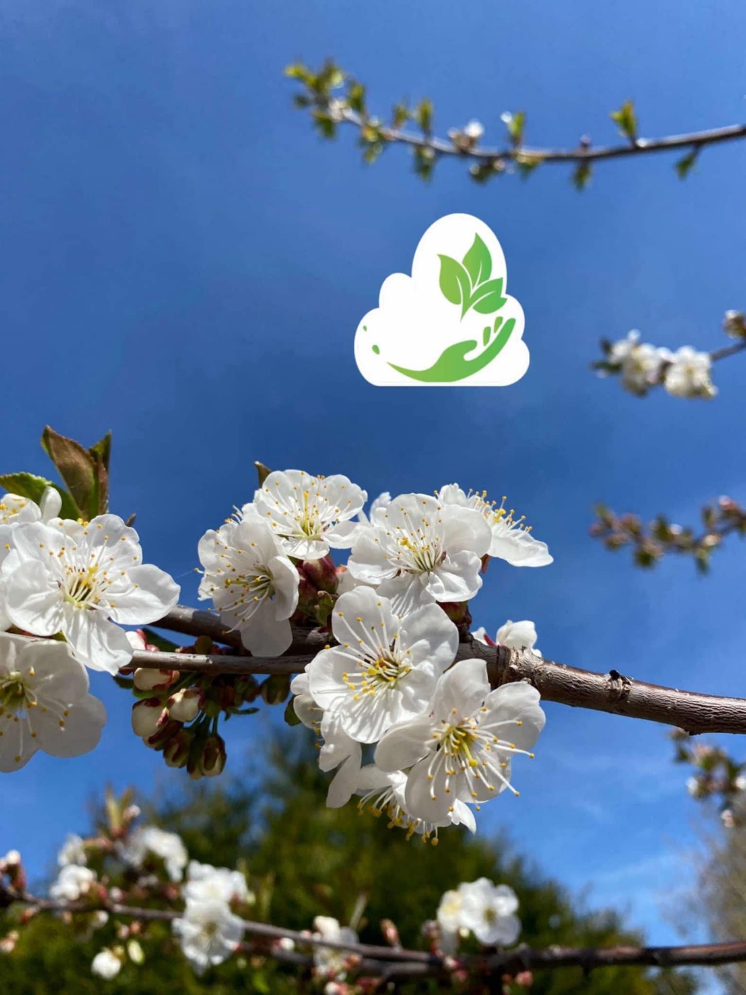 Permakultura w ogrodzie miesiąc po miesiącu. KWIECIEŃ